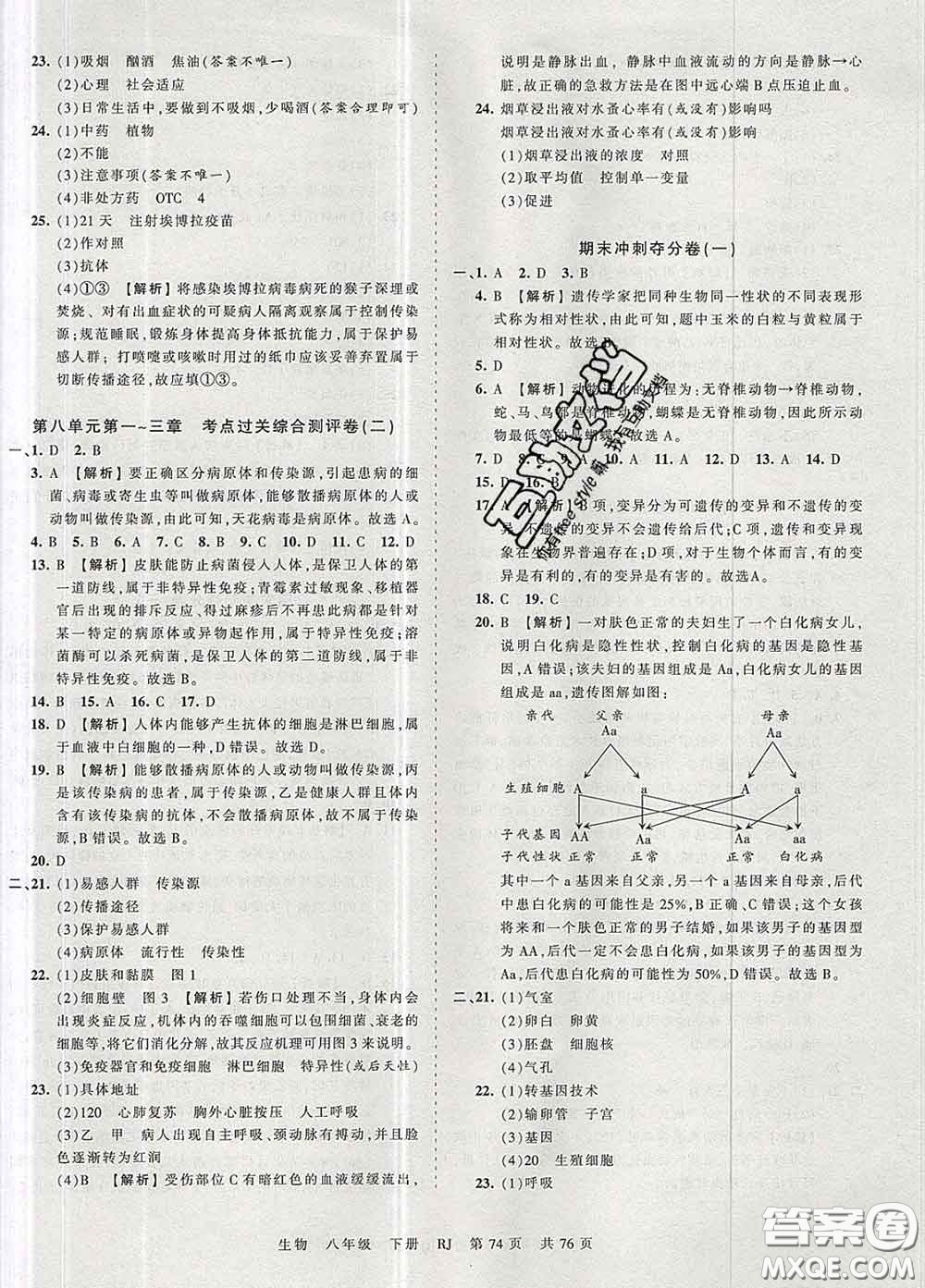 2020新版王朝霞考點梳理時習卷八年級生物下冊人教版答案