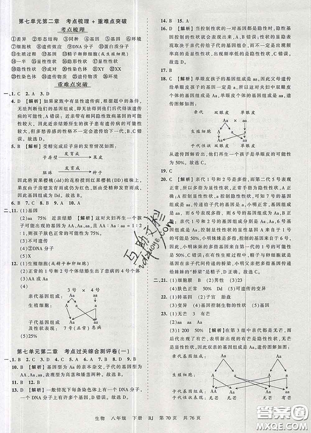 2020新版王朝霞考點梳理時習卷八年級生物下冊人教版答案