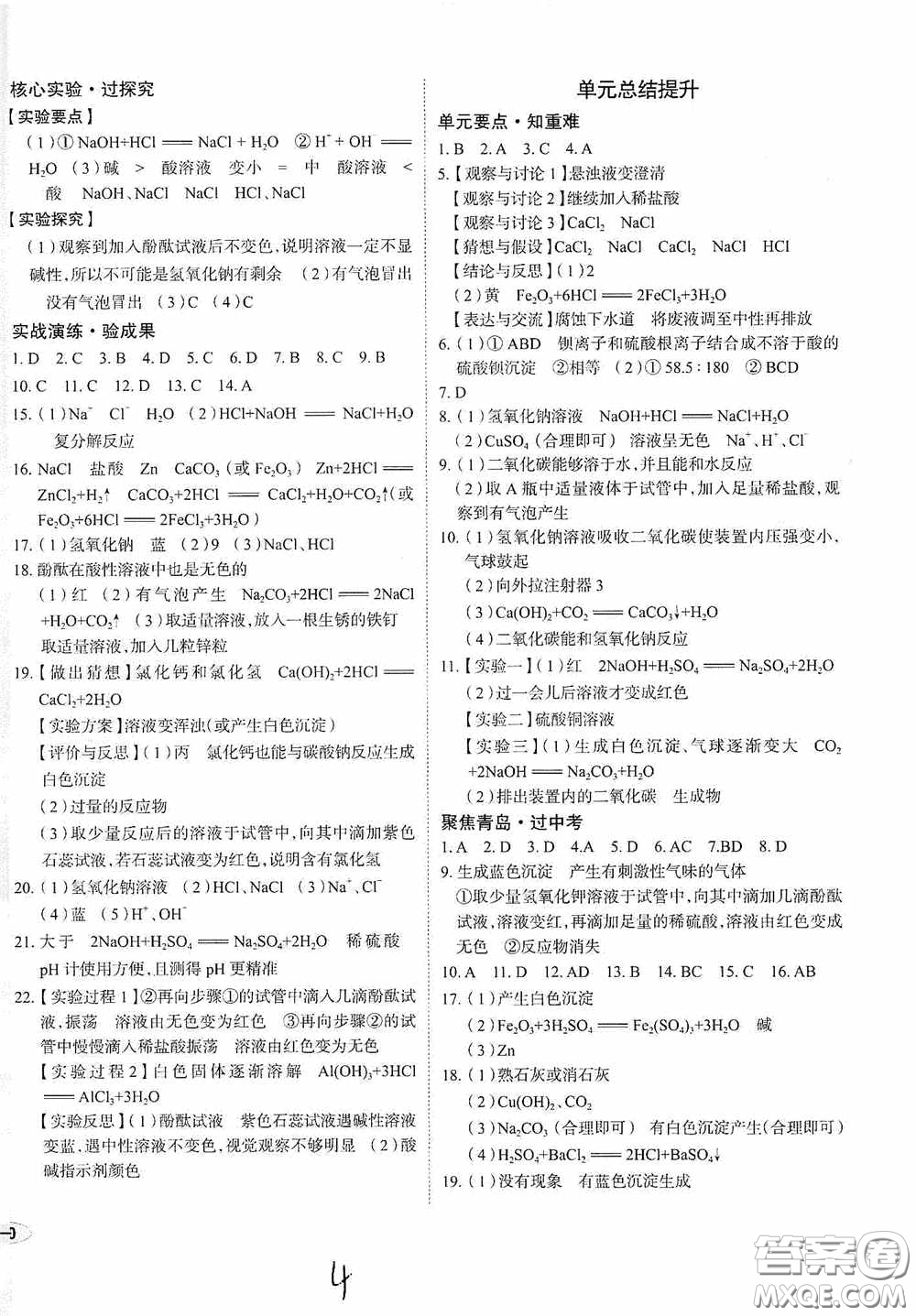 2020智學島四維文化中考檔案初中同步學案導學九年級化學下冊青島專用答案