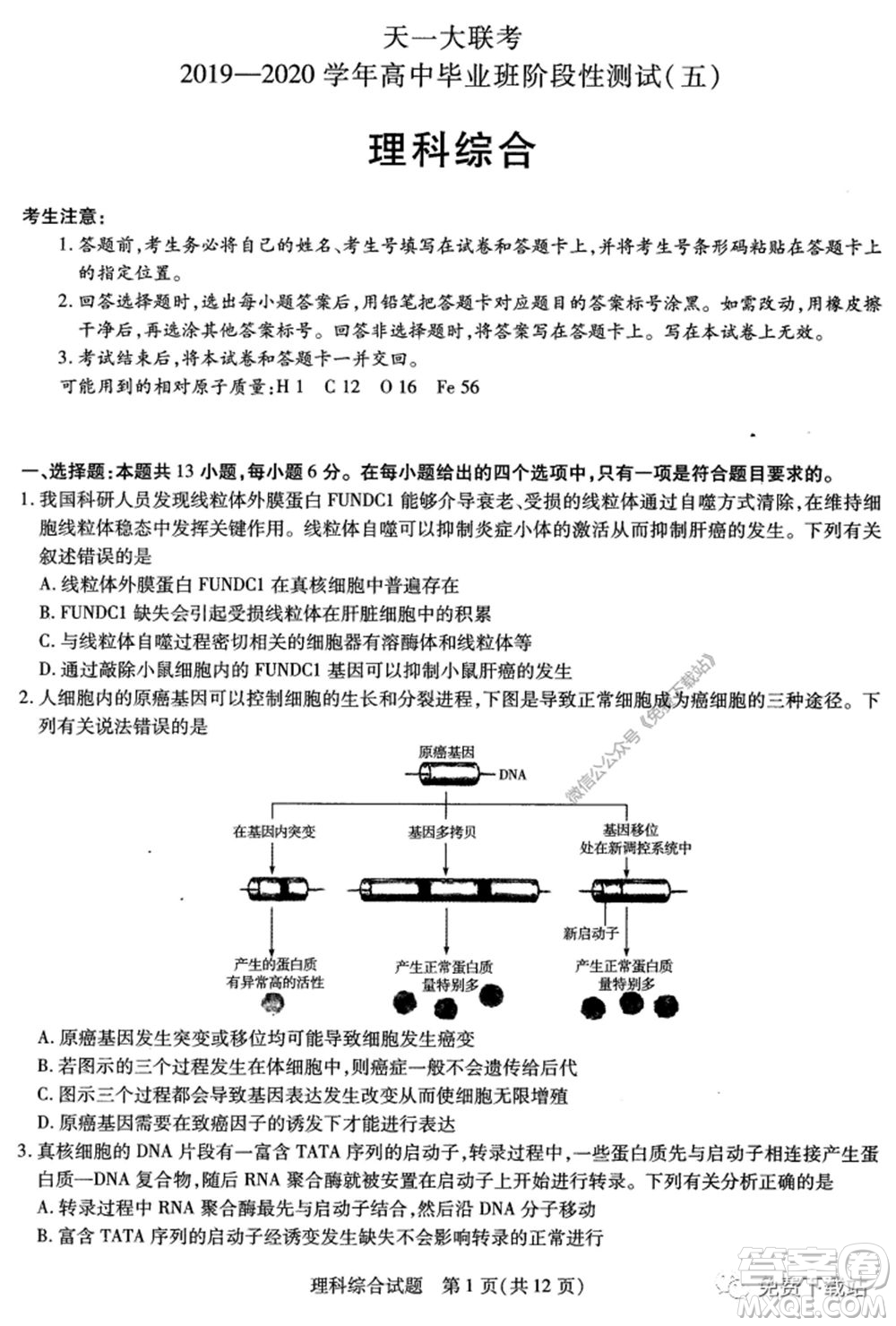 天一大聯(lián)考2019-2020學(xué)年高中畢業(yè)班階段性測試五理科綜合試題及答案