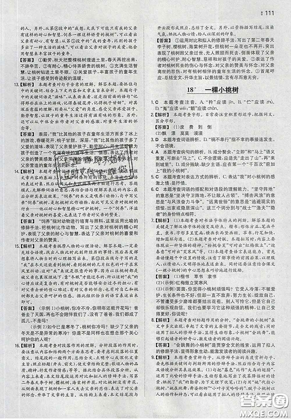 2020新版一本同步訓(xùn)練初中語文七年級(jí)下冊(cè)人教版答案