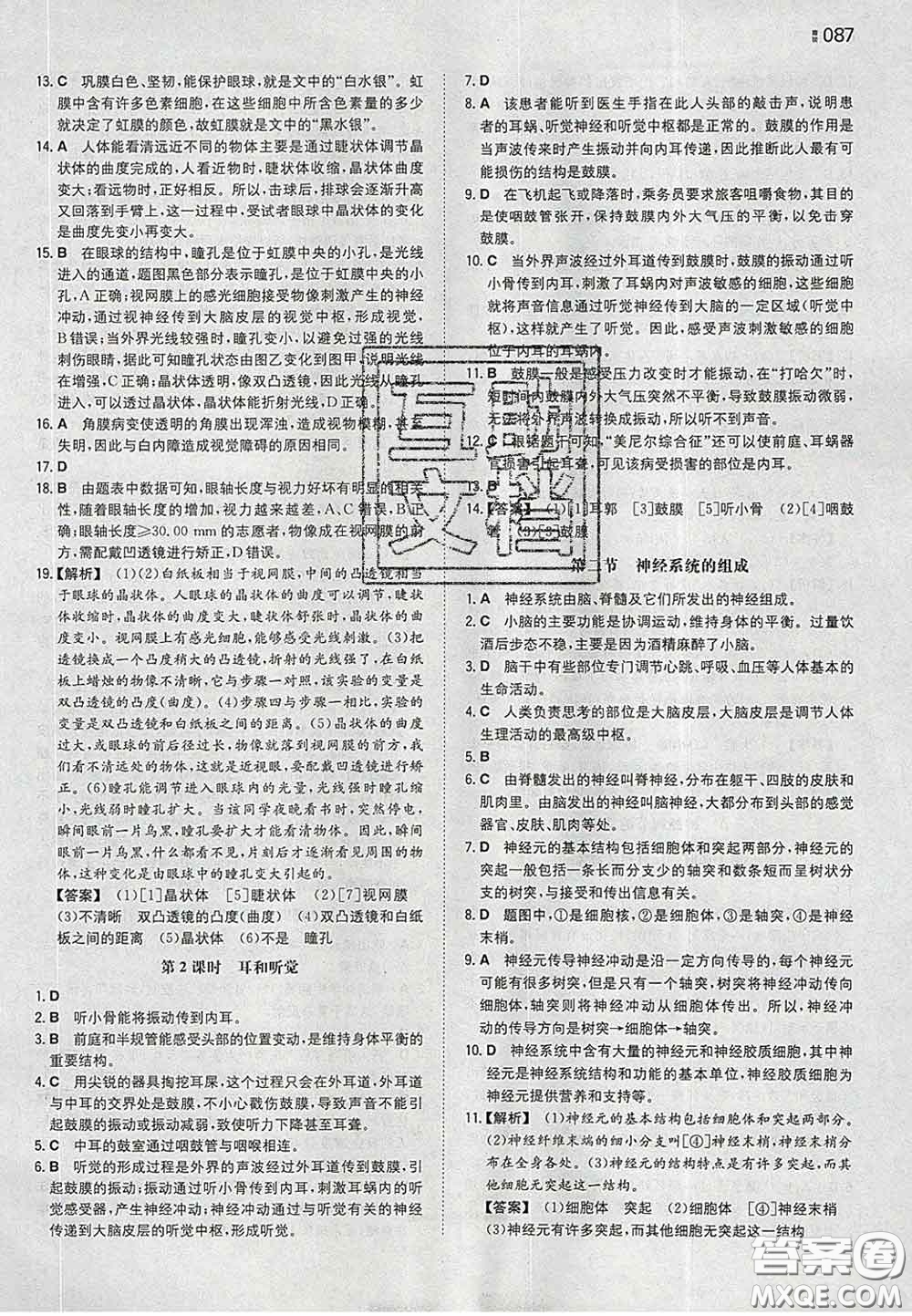 2020新版一本同步訓練初中生物七年級下冊人教版答案