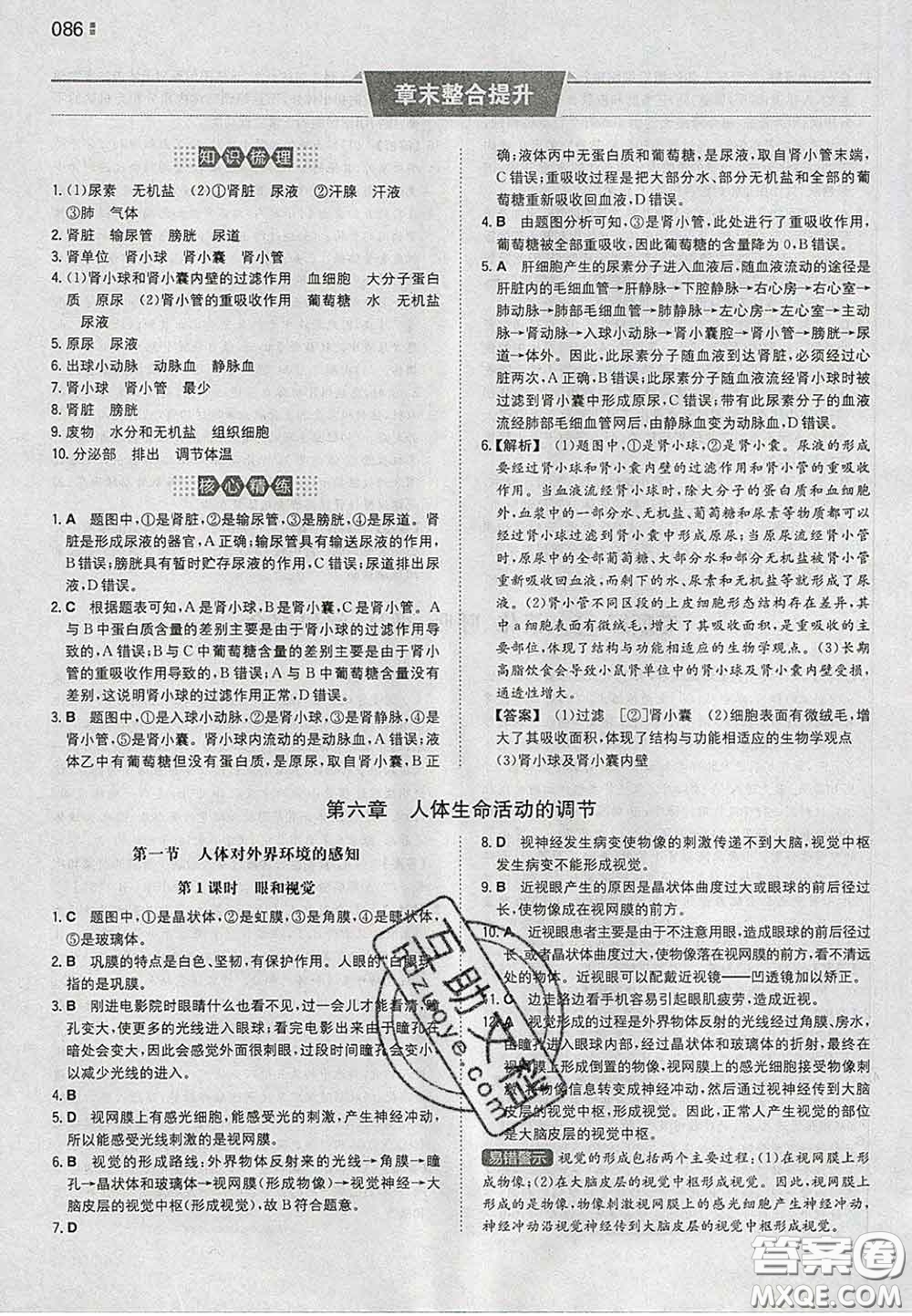 2020新版一本同步訓練初中生物七年級下冊人教版答案