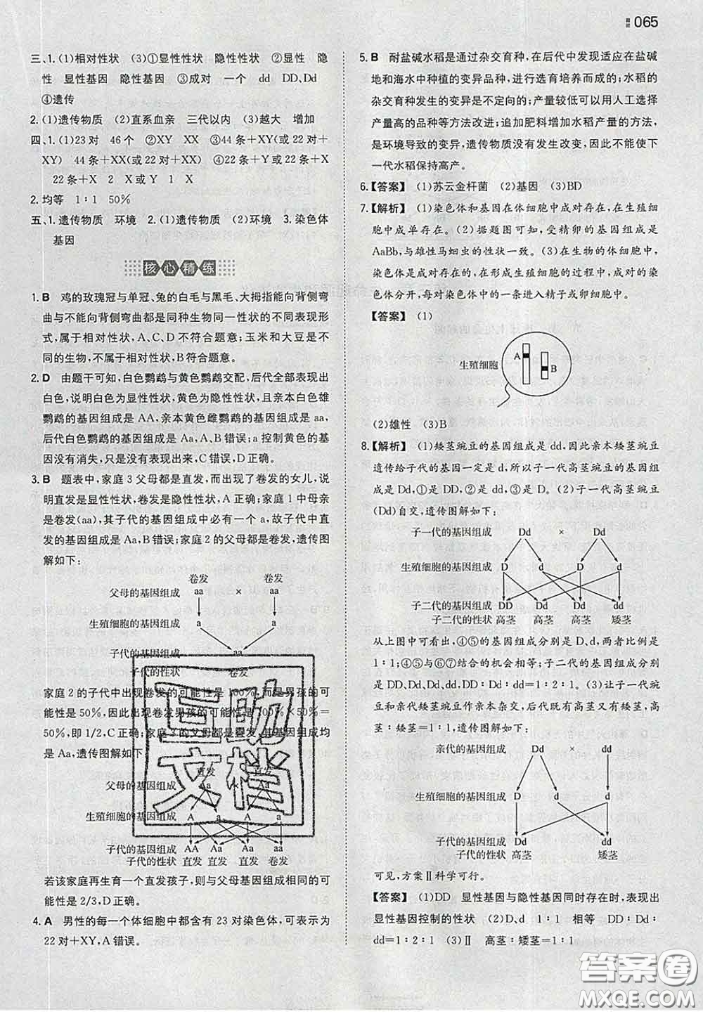 2020新版一本同步訓練初中生物八年級下冊人教版答案