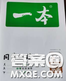 2020新版一本同步訓(xùn)練初中歷史九年級(jí)下冊(cè)人教版答案