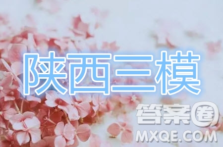 2020年陜西省高三教學(xué)質(zhì)檢監(jiān)測三理科綜合答案