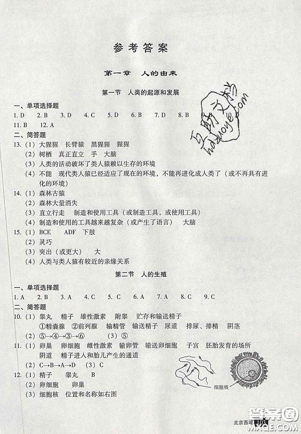 2020春北京西城學(xué)習(xí)探究診斷七年級生物下冊人教版答案