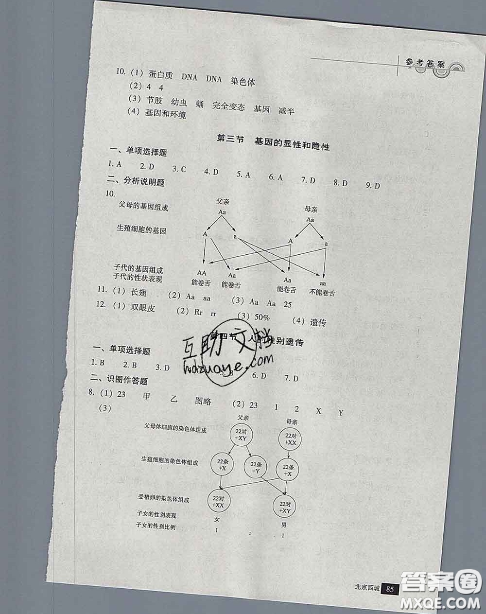 2020春北京西城學(xué)習(xí)探究診斷八年級生物下冊人教版答案