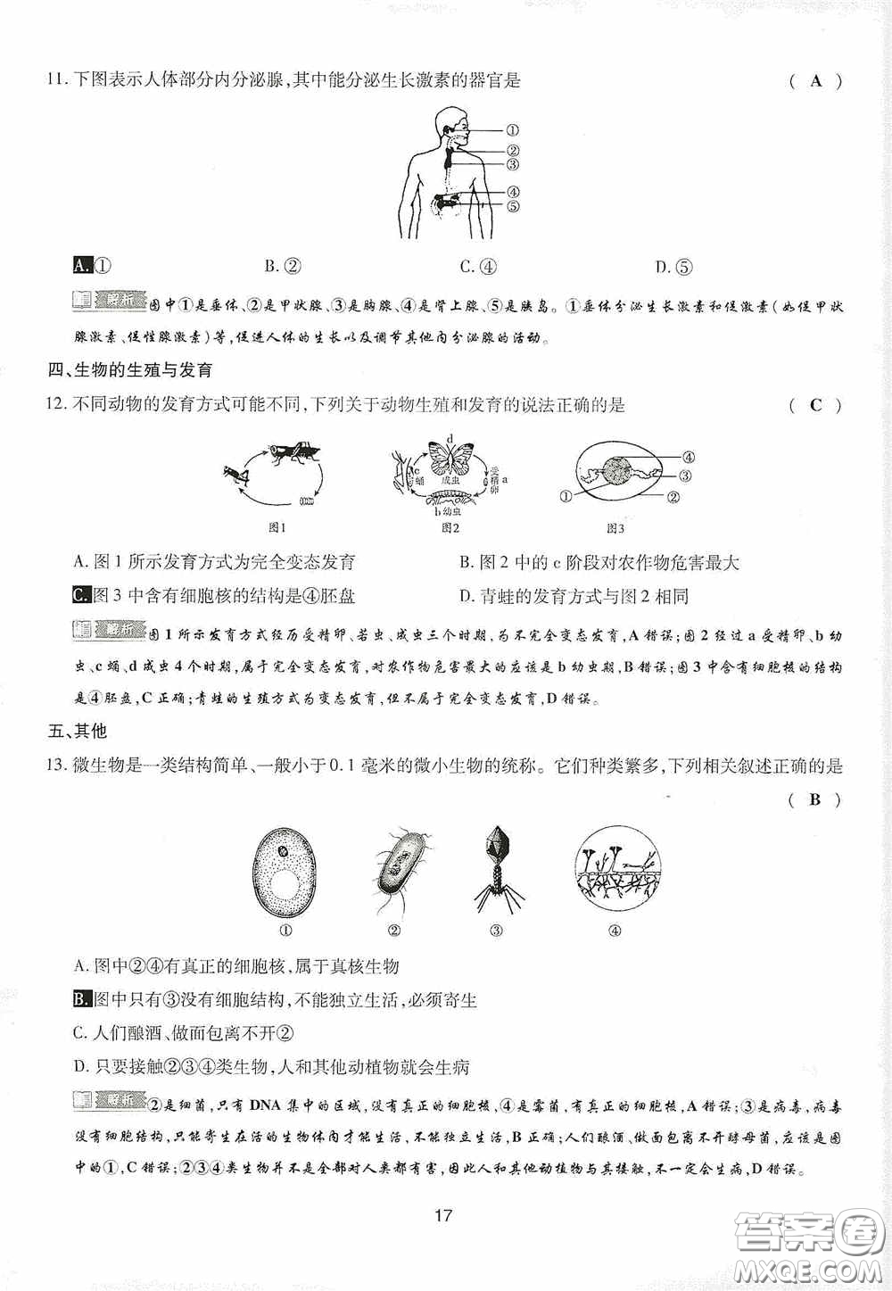 2020江西中考必備中考一卷通生物答案