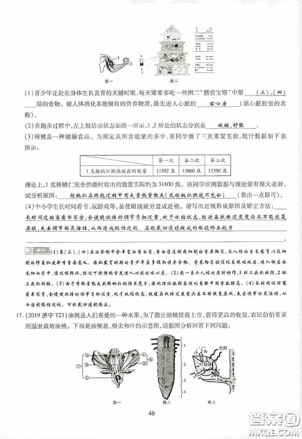 2020江西中考必備中考一卷通生物答案