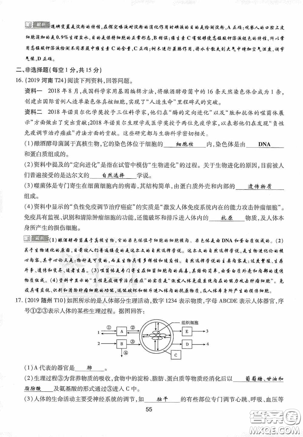 2020江西中考必備中考一卷通生物答案