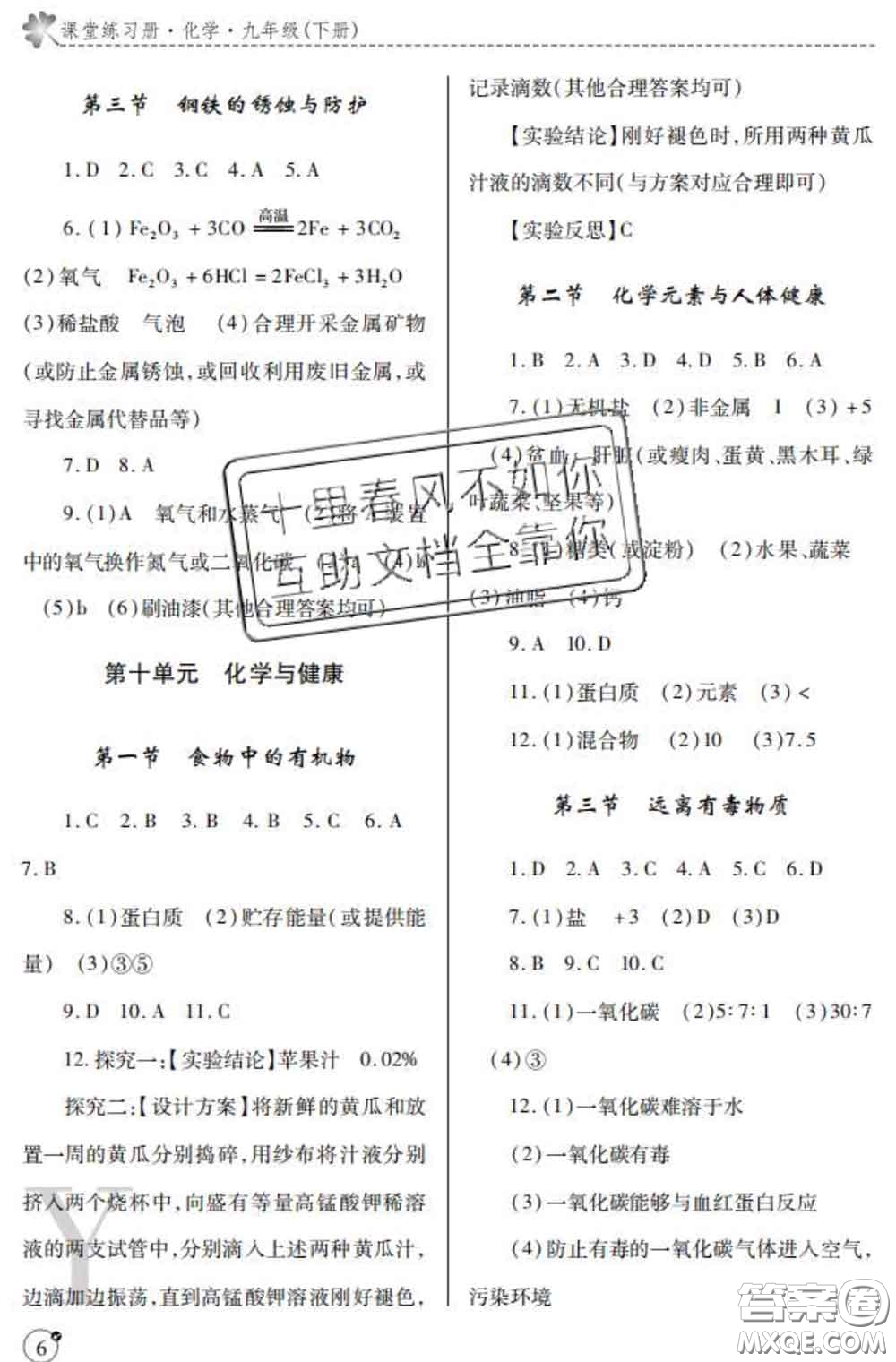 陜西師范大學(xué)出版社2020春課堂練習(xí)冊九年級(jí)化學(xué)下冊Y版答案