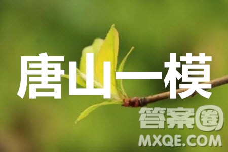 唐山市2019-2020學(xué)年度高三年級(jí)第一次模擬考試?yán)砜茢?shù)學(xué)試題及答案