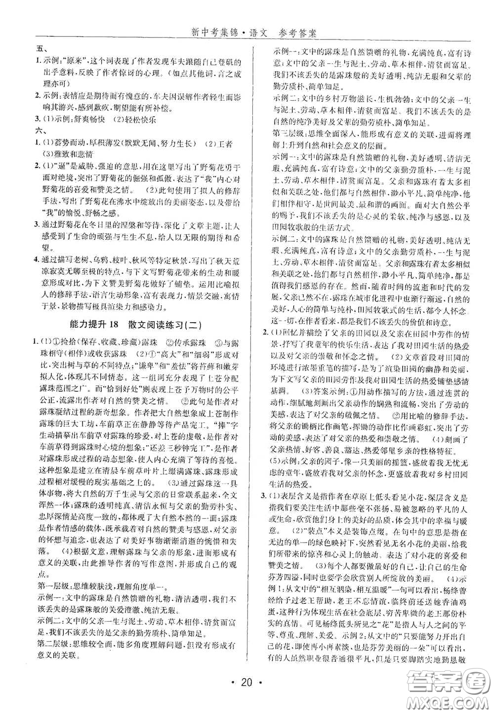 浙江人民出版社2020新中考集錦全程復(fù)習(xí)訓(xùn)練語文A本課后作業(yè)本答案