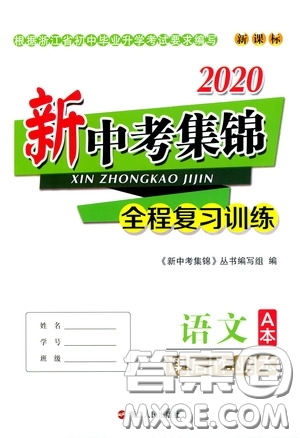 浙江人民出版社2020新中考集錦全程復(fù)習(xí)訓(xùn)練語文A本課后作業(yè)本答案