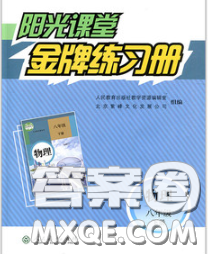 2020新版陽光課堂金牌練習(xí)冊八年級物理下冊人教版答案