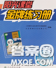 2020新版陽光課堂金牌練習(xí)冊九年級化學(xué)下冊人教版答案