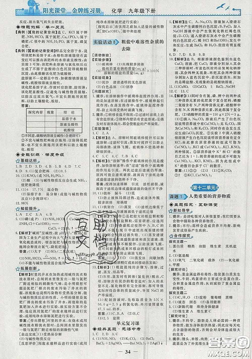 2020新版陽光課堂金牌練習(xí)冊九年級化學(xué)下冊人教版答案