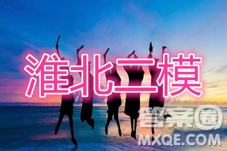 淮北市2020屆高三第二次模擬考試文科數(shù)學(xué)試題及答案