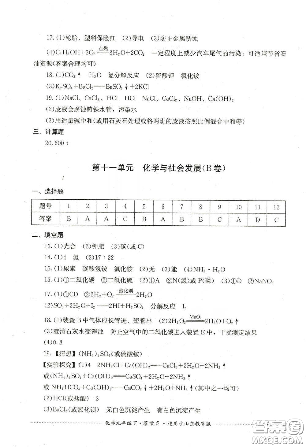 四川教育出版社2020課程標準初中單元測試九年級化學下冊山東教育版答案