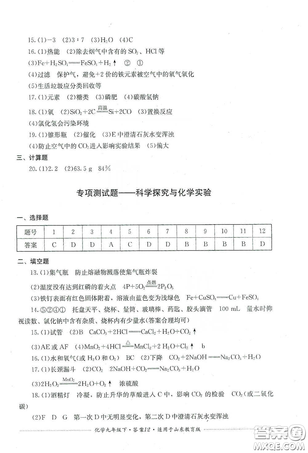 四川教育出版社2020課程標準初中單元測試九年級化學下冊山東教育版答案