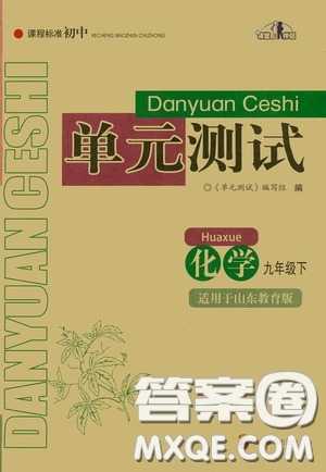 四川教育出版社2020課程標準初中單元測試九年級化學下冊山東教育版答案