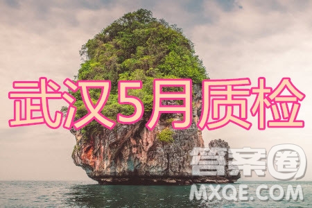 武漢市2020屆高中畢業(yè)生五月質(zhì)量檢測(cè)文科數(shù)學(xué)試題及答案