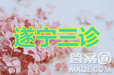 遂寧市高中2020屆三診考試高三文科數(shù)學(xué)試題及答案