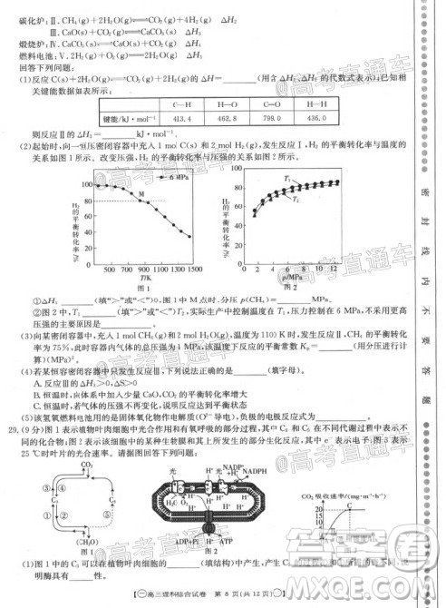 2020年金太陽全國5月百萬聯(lián)考全國一卷理科綜合試題及答案