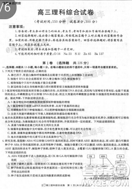 2020年金太陽全國5月百萬聯(lián)考全國一卷理科綜合試題及答案