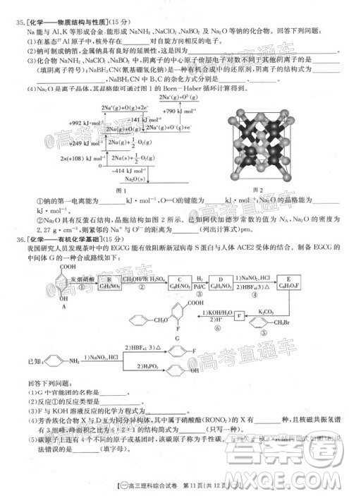 2020年金太陽全國5月百萬聯(lián)考全國一卷理科綜合試題及答案