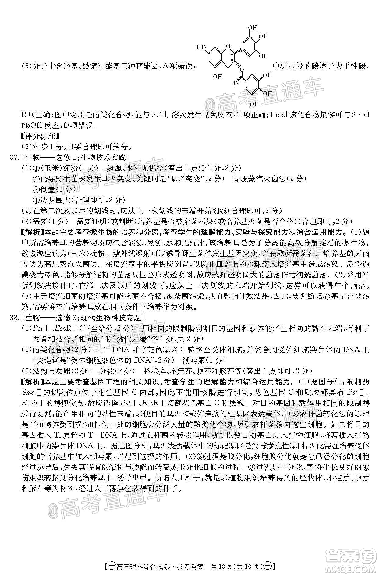 2020年金太陽全國5月百萬聯(lián)考全國一卷理科綜合試題及答案