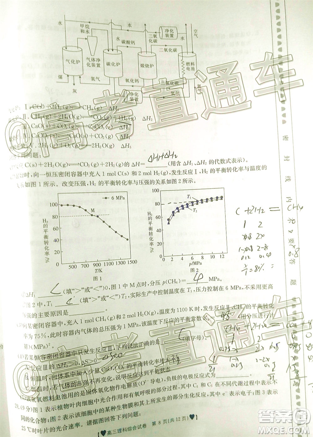 2020年金太陽全國5月百萬聯(lián)考全國二卷理科綜試題及答案