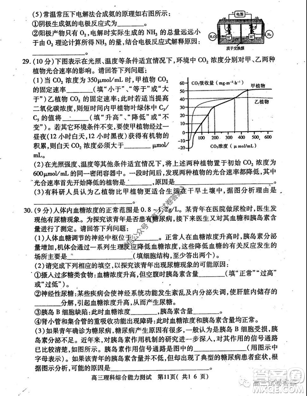 2020年河南省六市高三第二次聯(lián)考理科綜合試題及答案