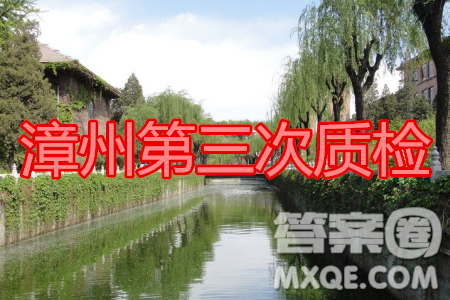 漳州市2020屆高中畢業(yè)班第三次教學(xué)質(zhì)量檢測(cè)文科數(shù)學(xué)試題及答案