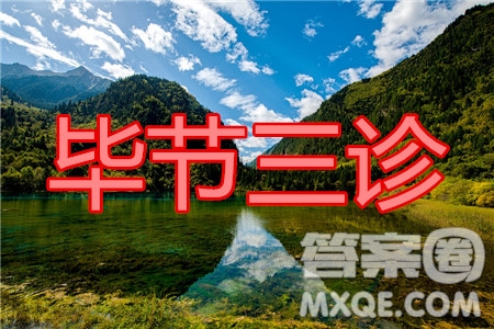 畢節(jié)市2020屆高三年級診斷性考試三理科綜合試題及答案