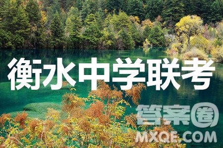 衡水中學(xué)2019-2020屆高考考前密卷一理科數(shù)學(xué)試題及答案