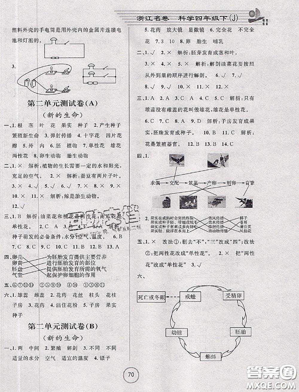 浙江大學(xué)出版社2020春浙江名卷四年級(jí)科學(xué)下冊(cè)教科版答案