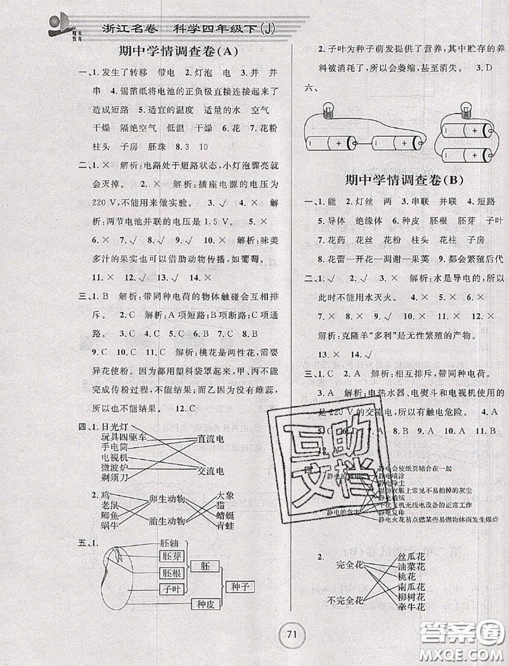 浙江大學(xué)出版社2020春浙江名卷四年級(jí)科學(xué)下冊(cè)教科版答案