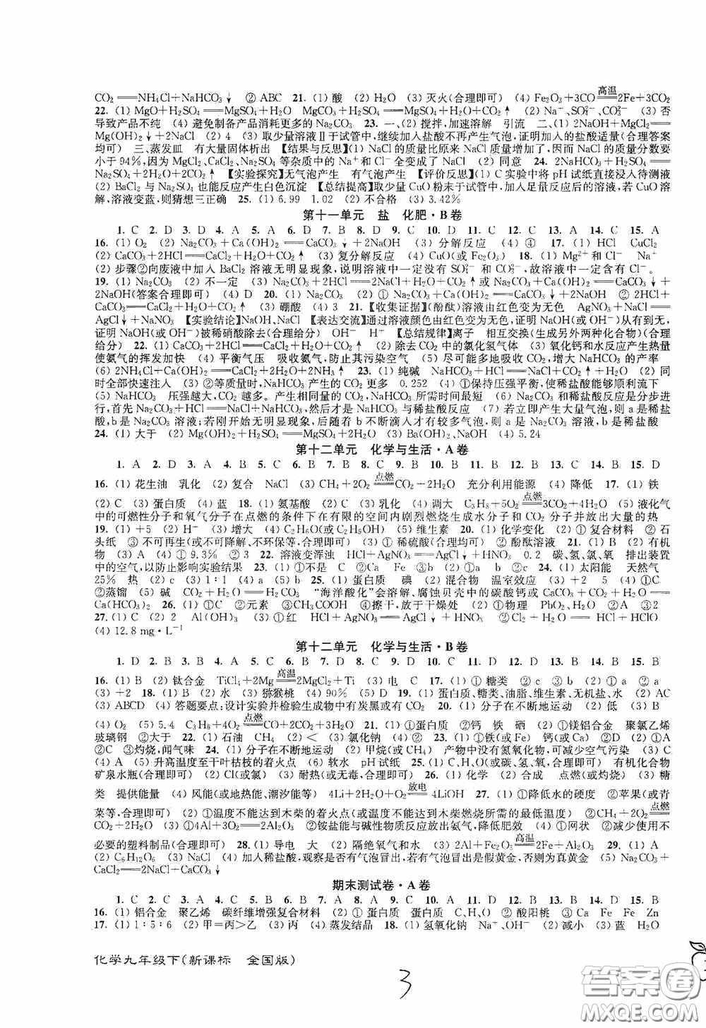 東南大學(xué)出版社2020江蘇密卷九年級化學(xué)下冊全國版答案