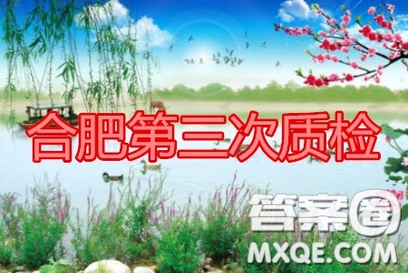 合肥市2020高三第三次教學(xué)質(zhì)量檢測(cè)理科綜合試題及答案