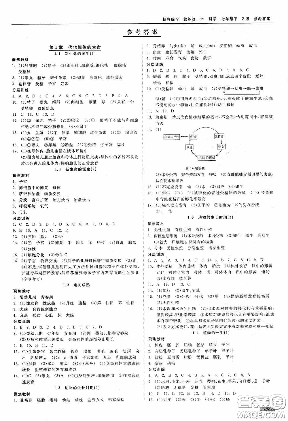 浙江工商大學(xué)出版社2020精彩練習(xí)就練這一本七年級(jí)科學(xué)下冊(cè)Z版A本答案