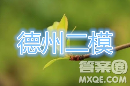 2020年德州二模高三數(shù)學(xué)試題及答案