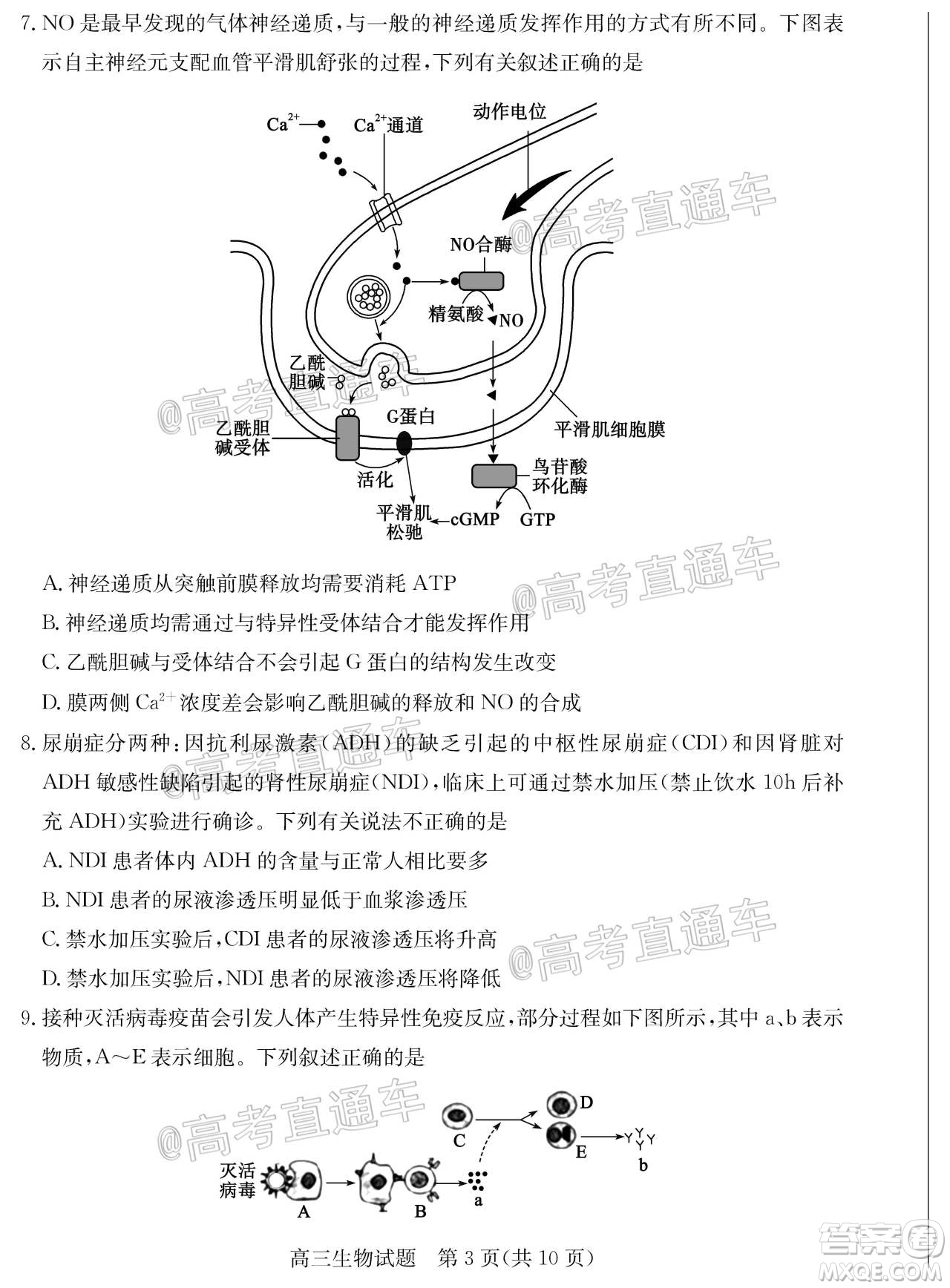 2020年德州二模高三生物試題及答案