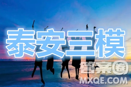 泰安三模2020年高考全真模擬題語文試題及答案