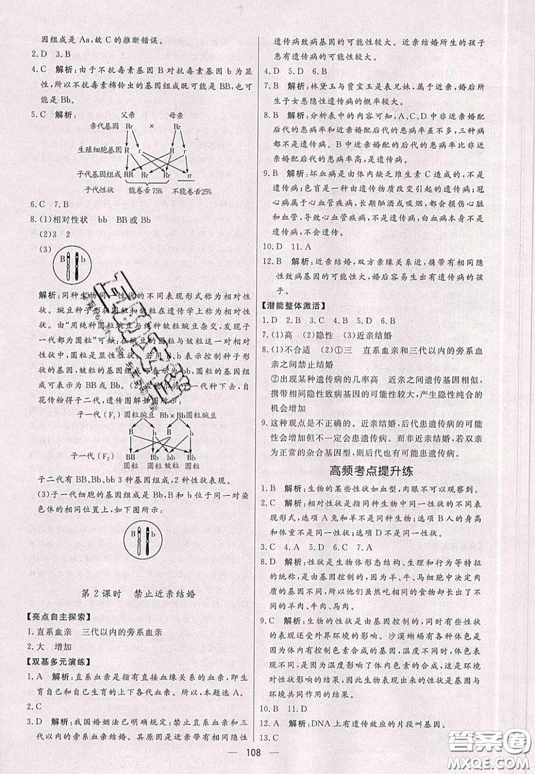 2020年亮點激活中學教材多元演練八年級生物下冊人教版答案