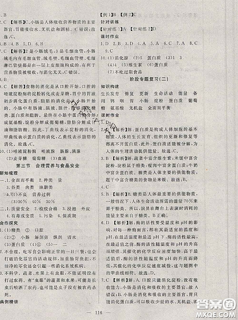 2020新版351高效課堂導(dǎo)學(xué)案七年級(jí)生物下冊(cè)人教版答案