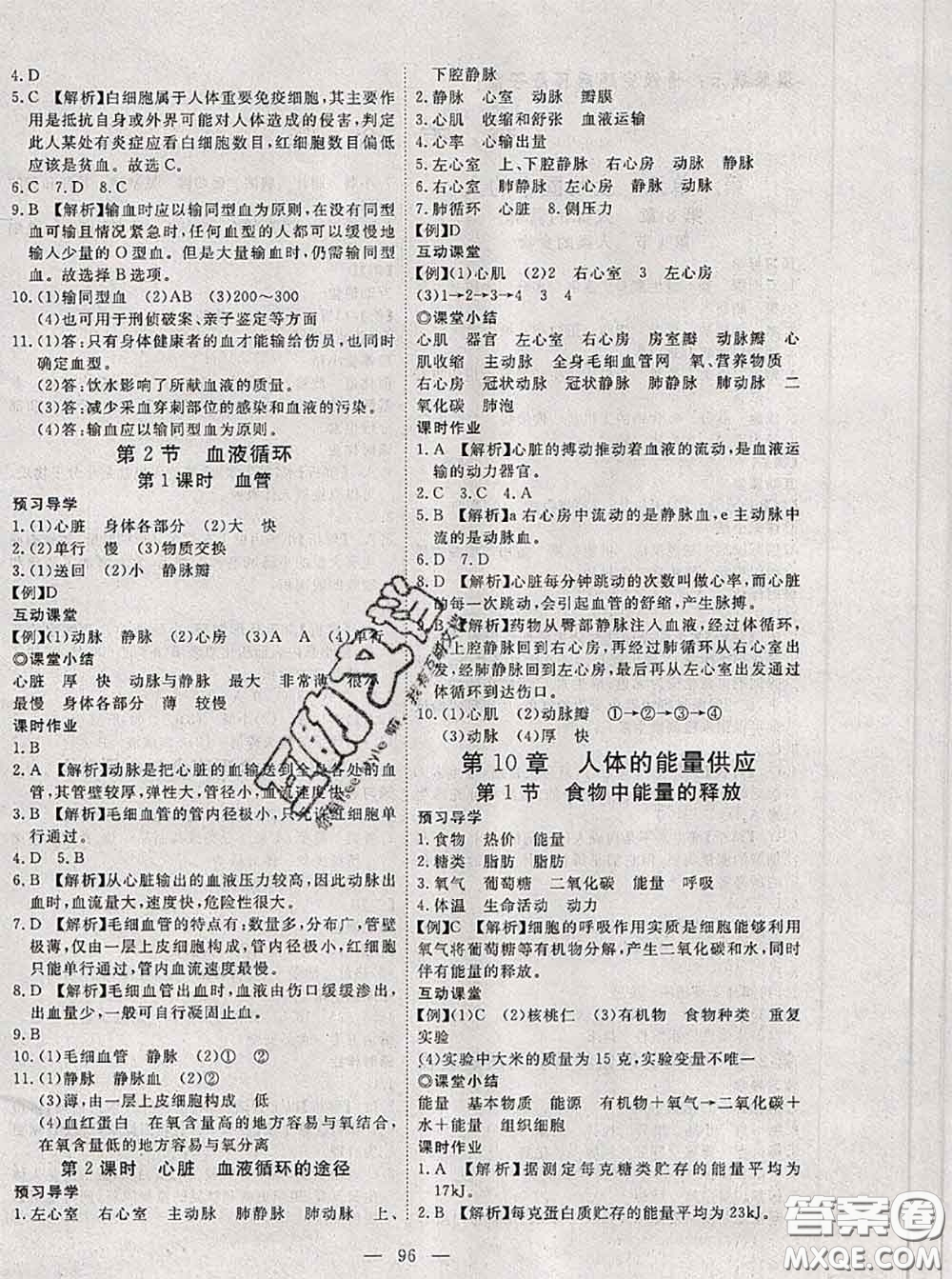 2020新版351高效課堂導(dǎo)學(xué)案七年級生物下冊北師版答案