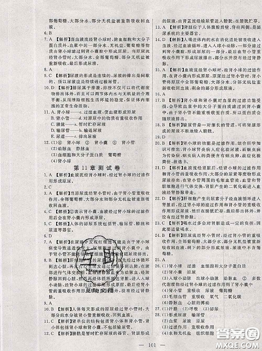 2020新版351高效課堂導(dǎo)學(xué)案七年級生物下冊北師版答案