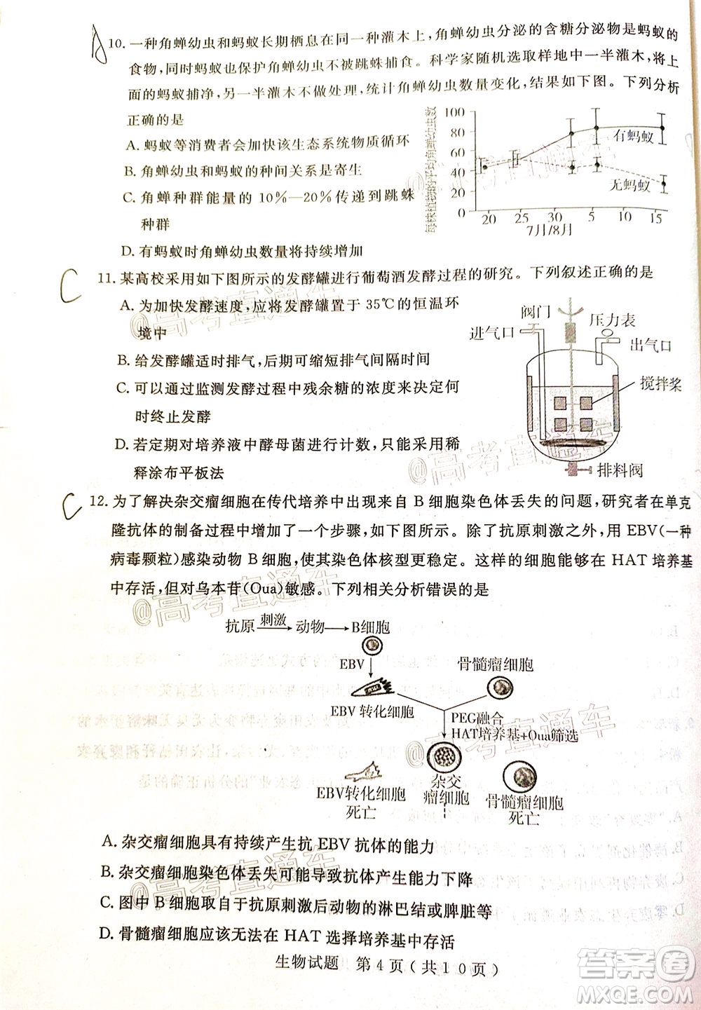 濟寧二模2019-2020學(xué)年度高考模擬考試生物試題及答案